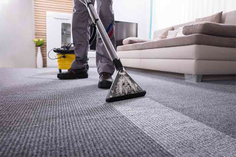 Carpet Steam Cleaning